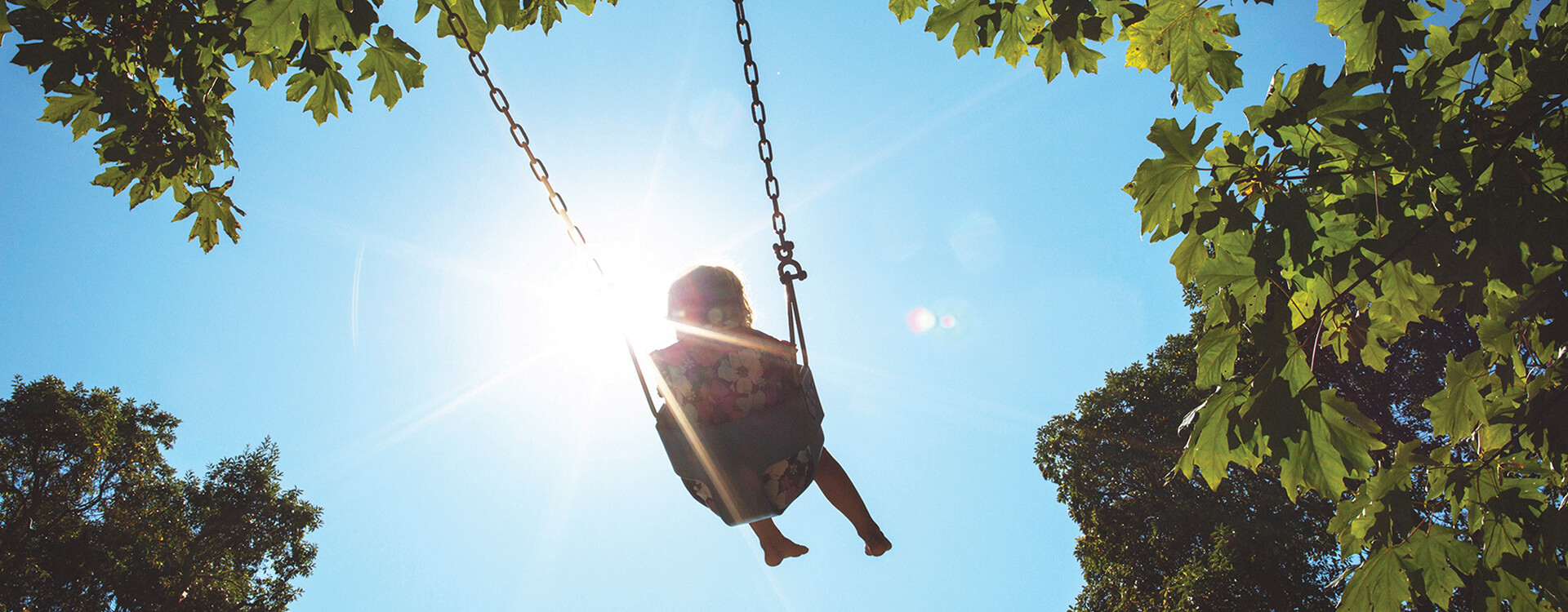 Roseworthy Lifestyle Banner