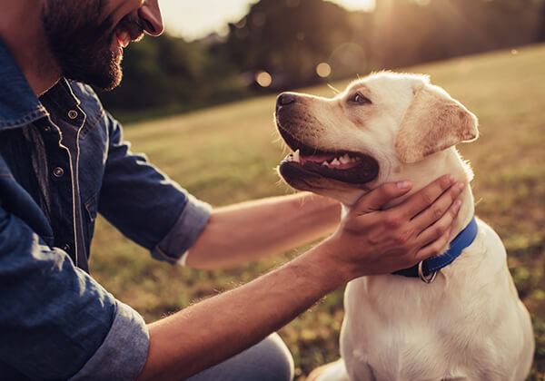 Roseworthy Lifestyle Manwithdog